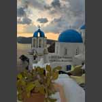 Oia Sunset and Cactus