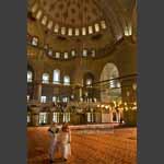 blue mosque contemplation